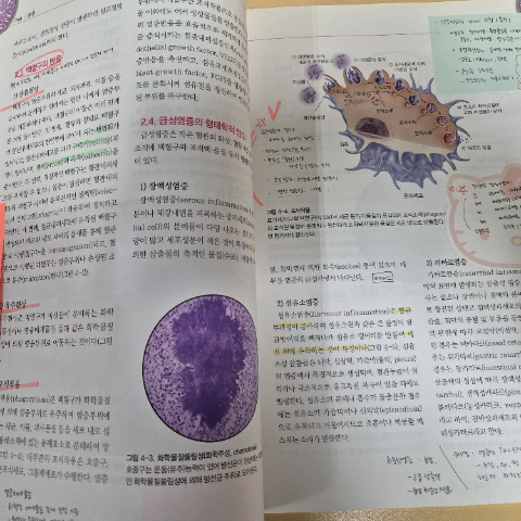 핵심병리학 책 팝니다