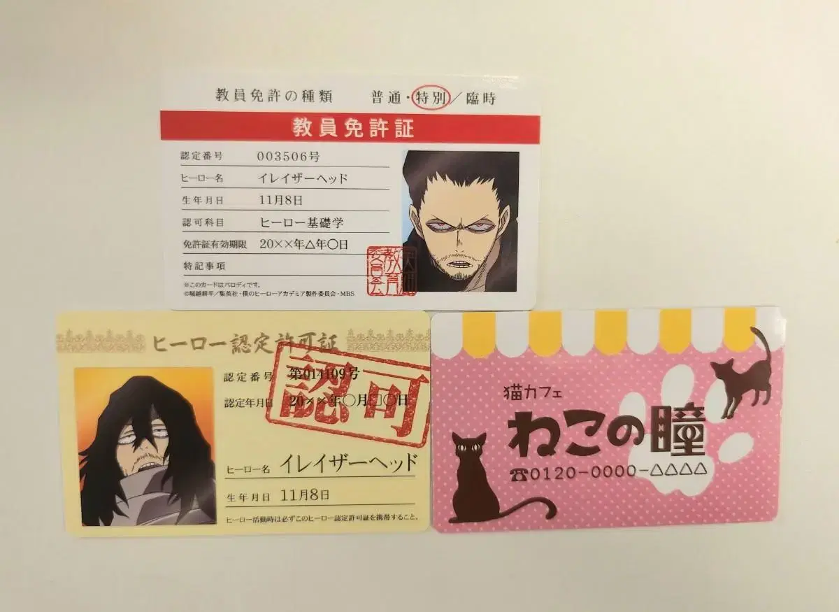 Shota Iwasawa Teacher's Certificate