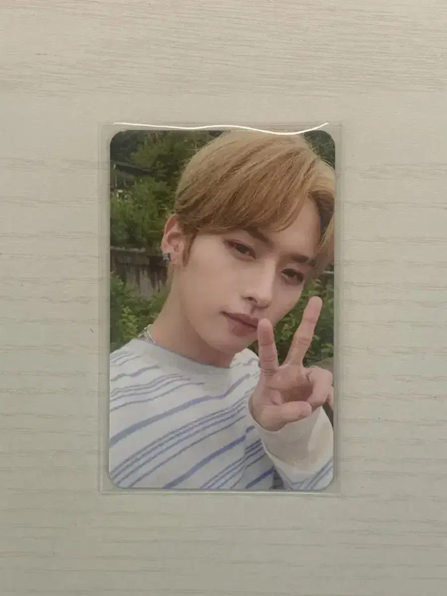 최저가)스트레이키즈 스테이 2기 리노 양도
