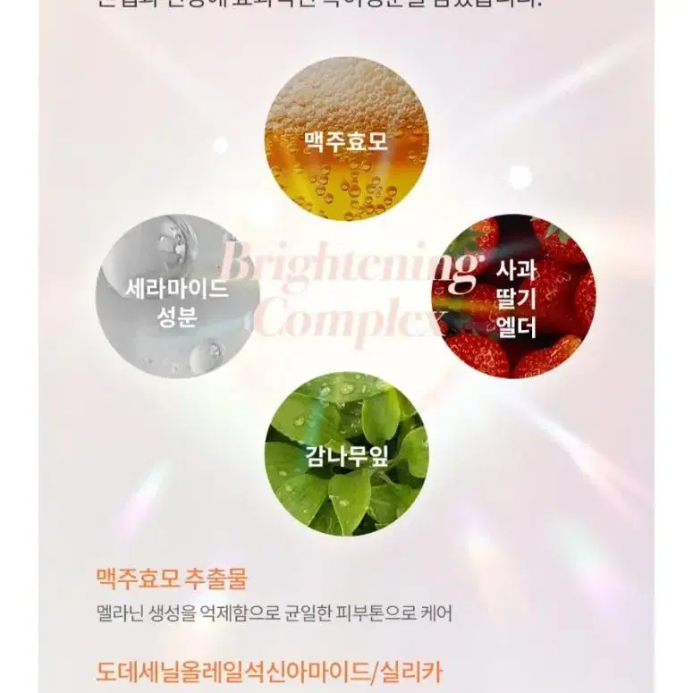 하나린 포스트바이오틱스 유산균 앰플 60ml