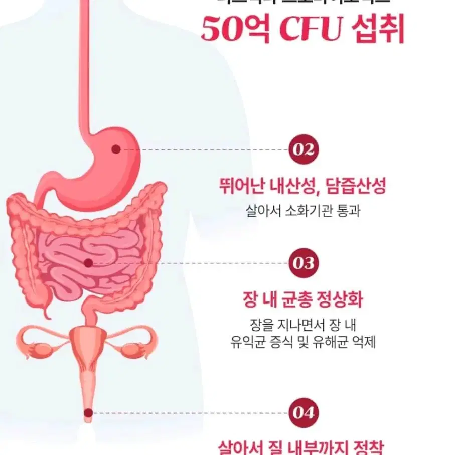 8만원>만원 삼진제약 질영양제 요로영양제 질건강 여성영양제