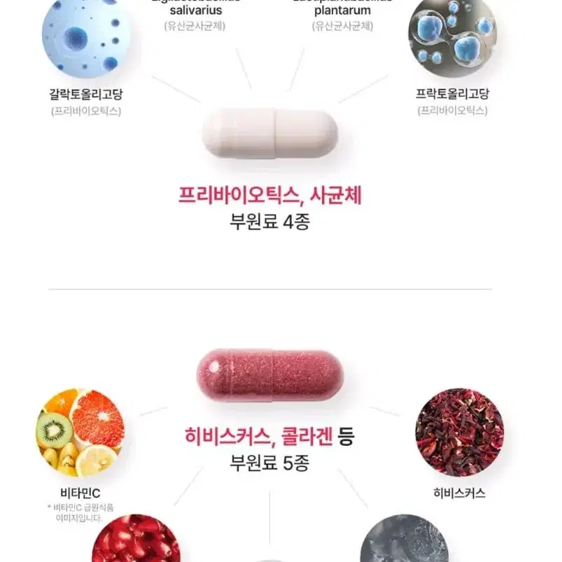 8만원>만원 삼진제약 질영양제 요로영양제 질건강 여성영양제