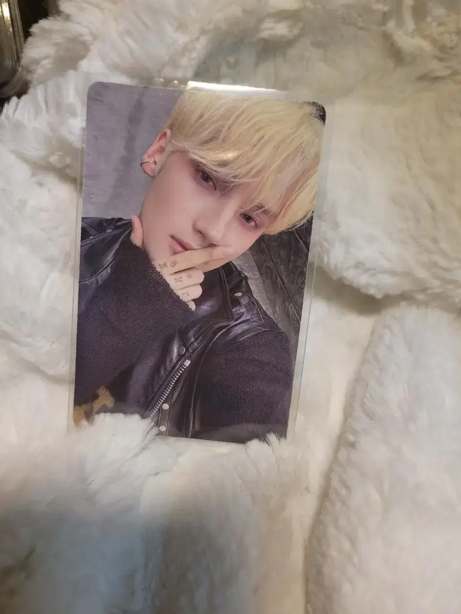 MaxPhil weverse Hooning photocards for sale!