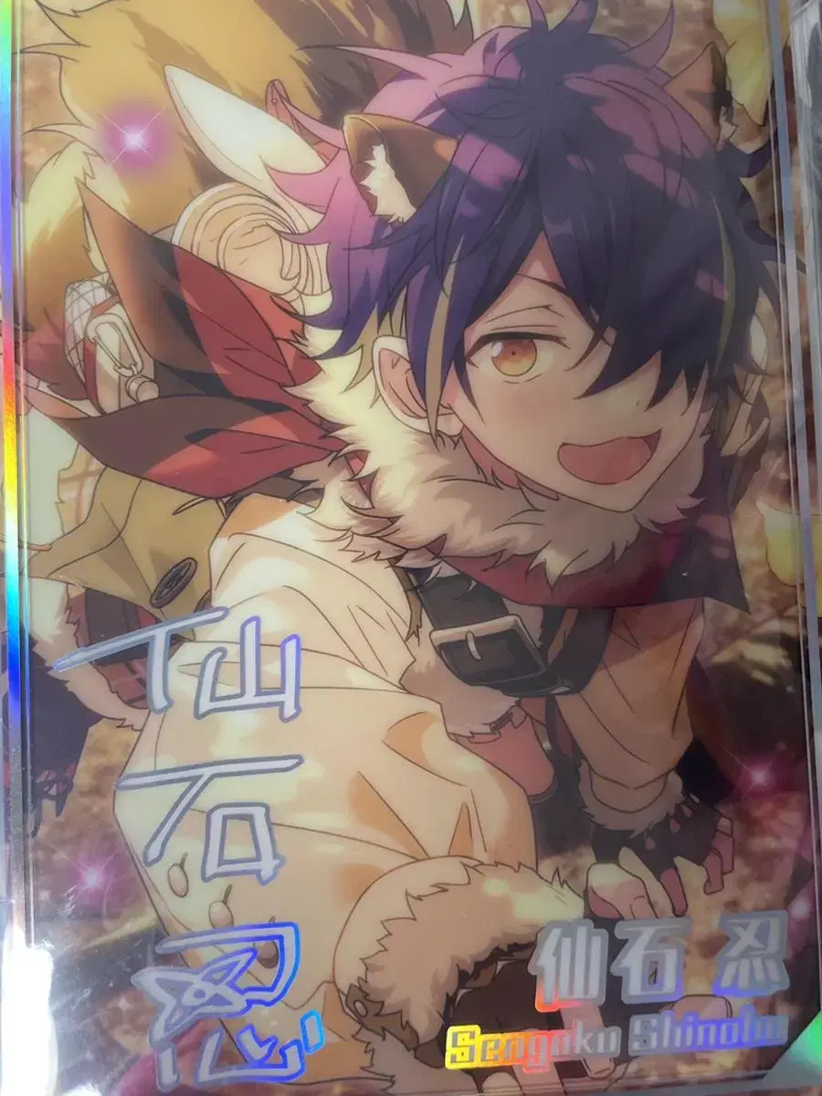 Anstar Meteor Belt Yumenosaki Collection Shinobu