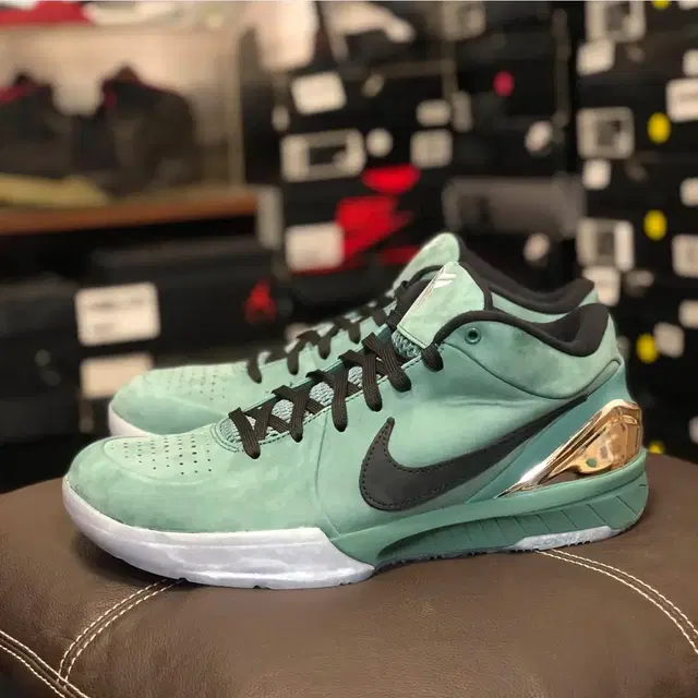 Nike Zoom Kobe 4 Protro Bicoastal