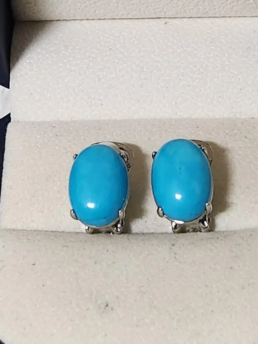 Bloo art stone claw earrings