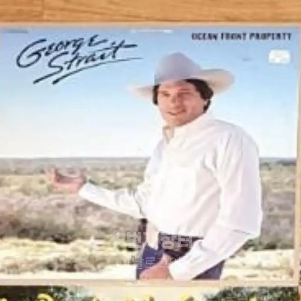 Classic Country Music LP 사고싶어요