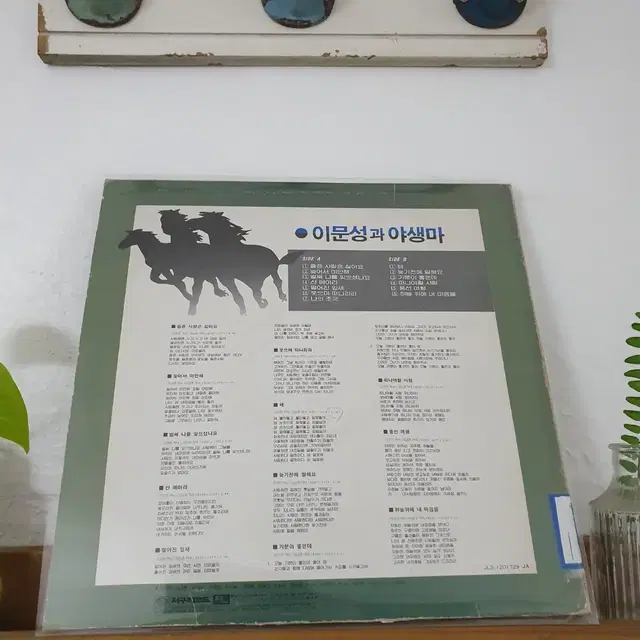 이문성과 야생마 LP  1982  벌써나를 잊으셨나요