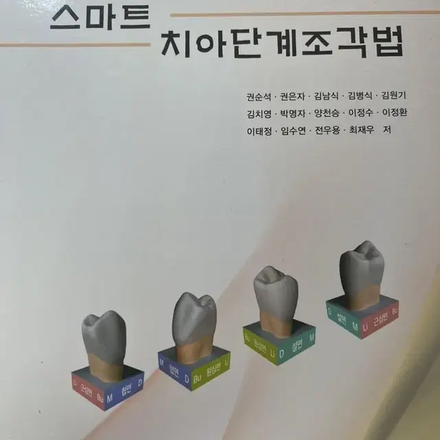 치기공 책