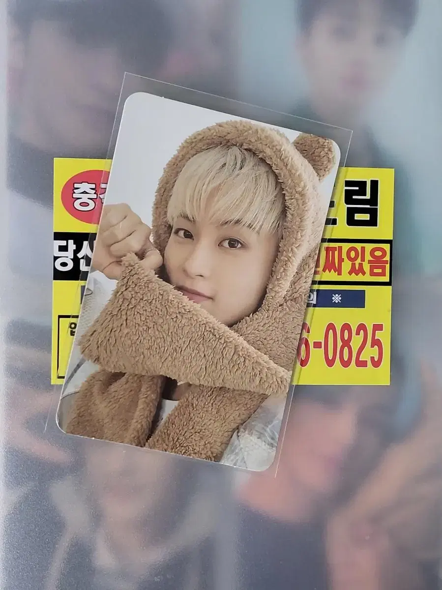 Bear mark photocard WTS