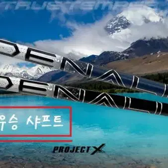 트루템퍼 드날리 Denali Shaft 샤프트 피터 넬너티우승