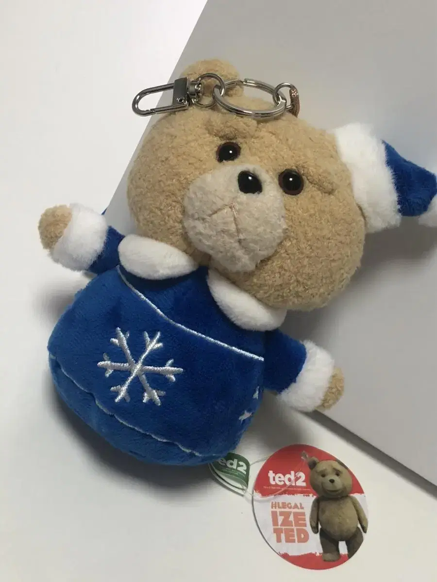 19Ted the Bear Doll Keyring