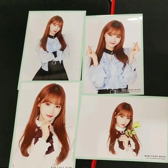 아이즈원 르세라핌 채원 김채원 일본 생사