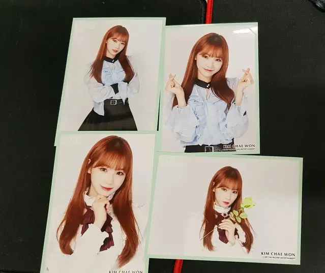 아이즈원 르세라핌 채원 김채원 일본 생사