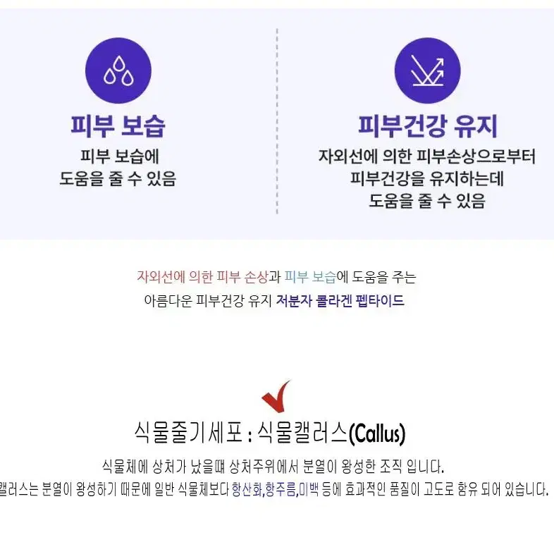 저분자콜라겐 화장품 세트 미백 주름개선