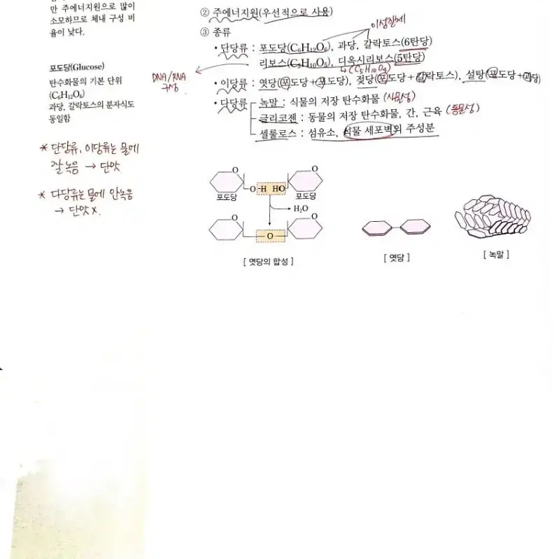 2023 백호 생II 풀셋, 2023 OZ 지II 풀셋, 시발점 확통 등