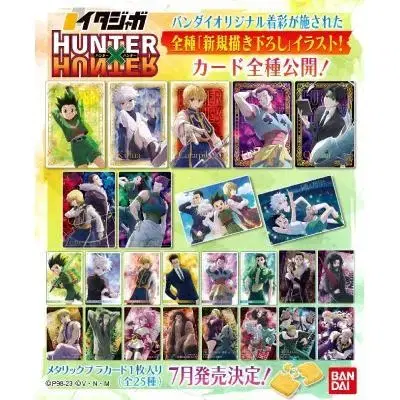 Hunter Hunter Itazaga (Wehasu) Vol. 1 sealed 1 box