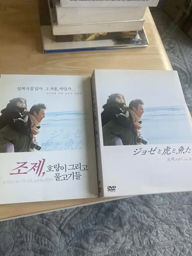 조제 호랑이 그리고 물고기들 dvd 한정판