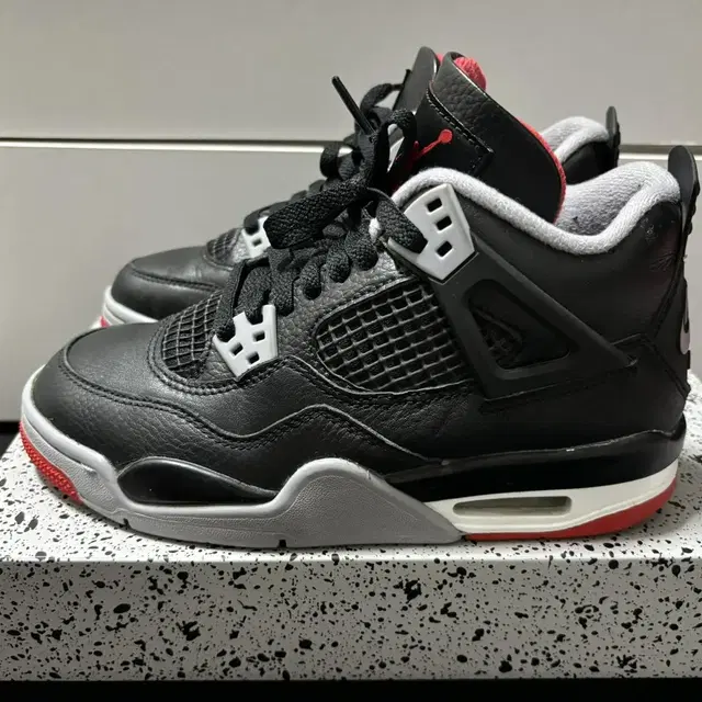 Jordan 4 조던4 브레드 230