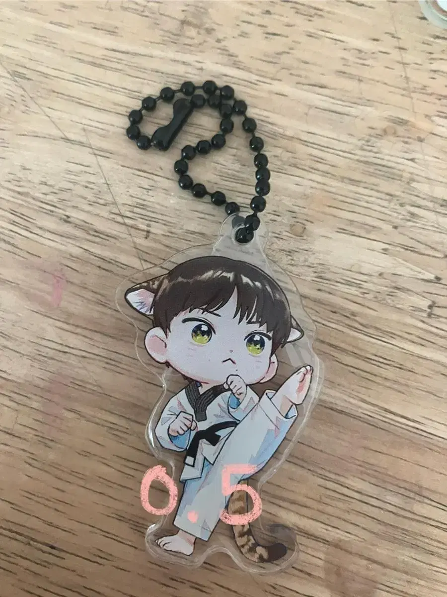 enhypen jungwon taekwondo keyring