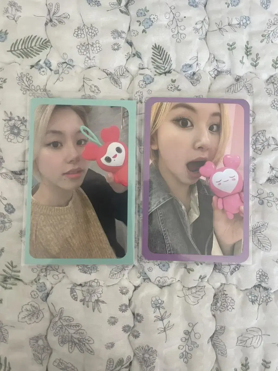 Twice chaeyoung Laburi Photo Card