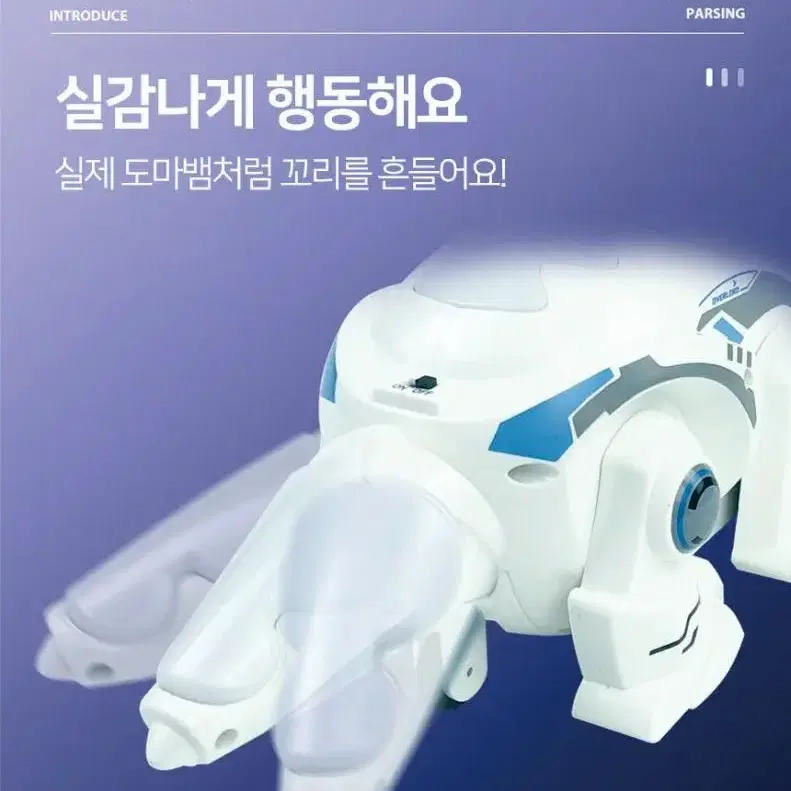 알씨 도마뱀 로봇