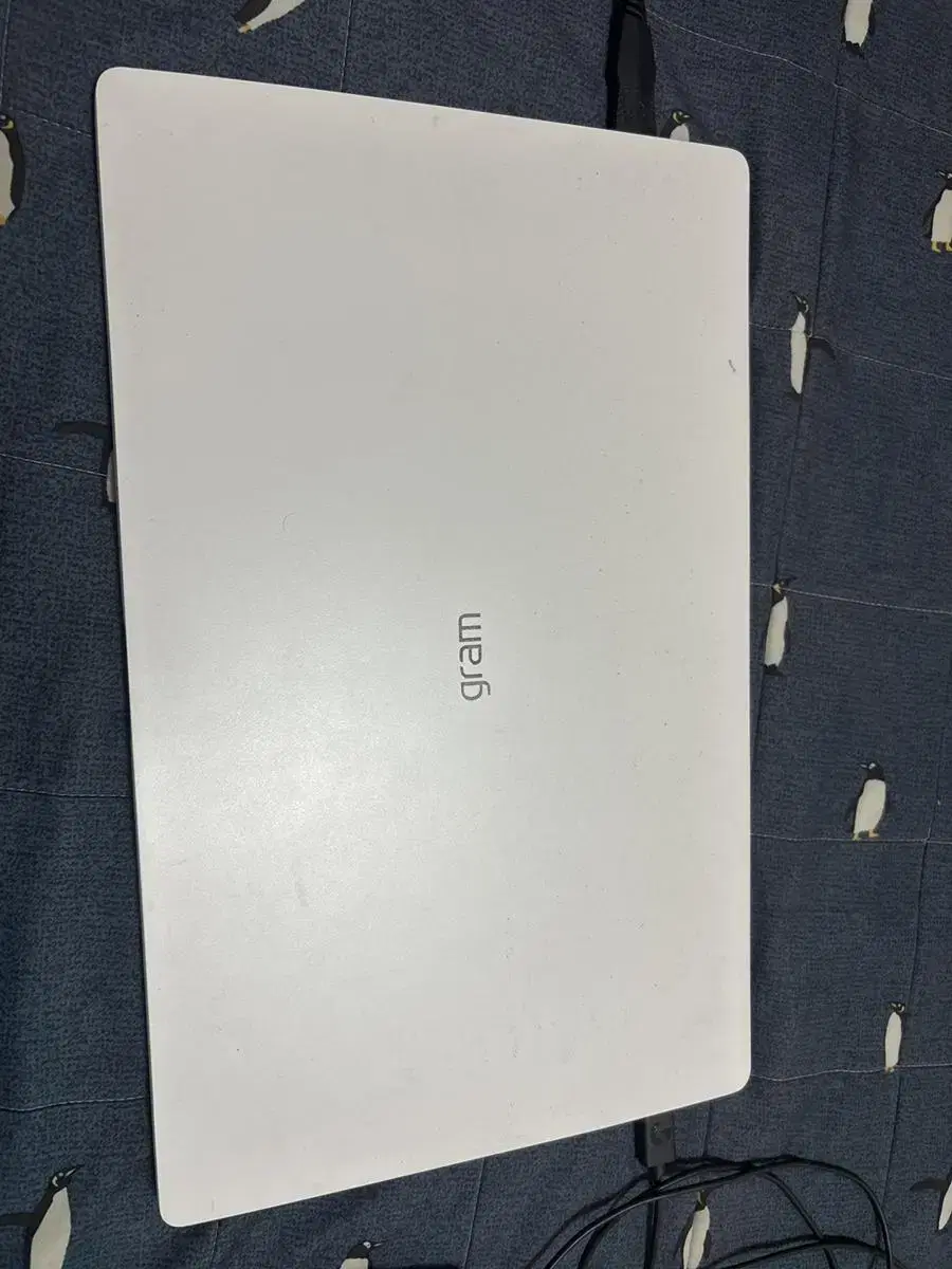 LG 그램 i5 15인치