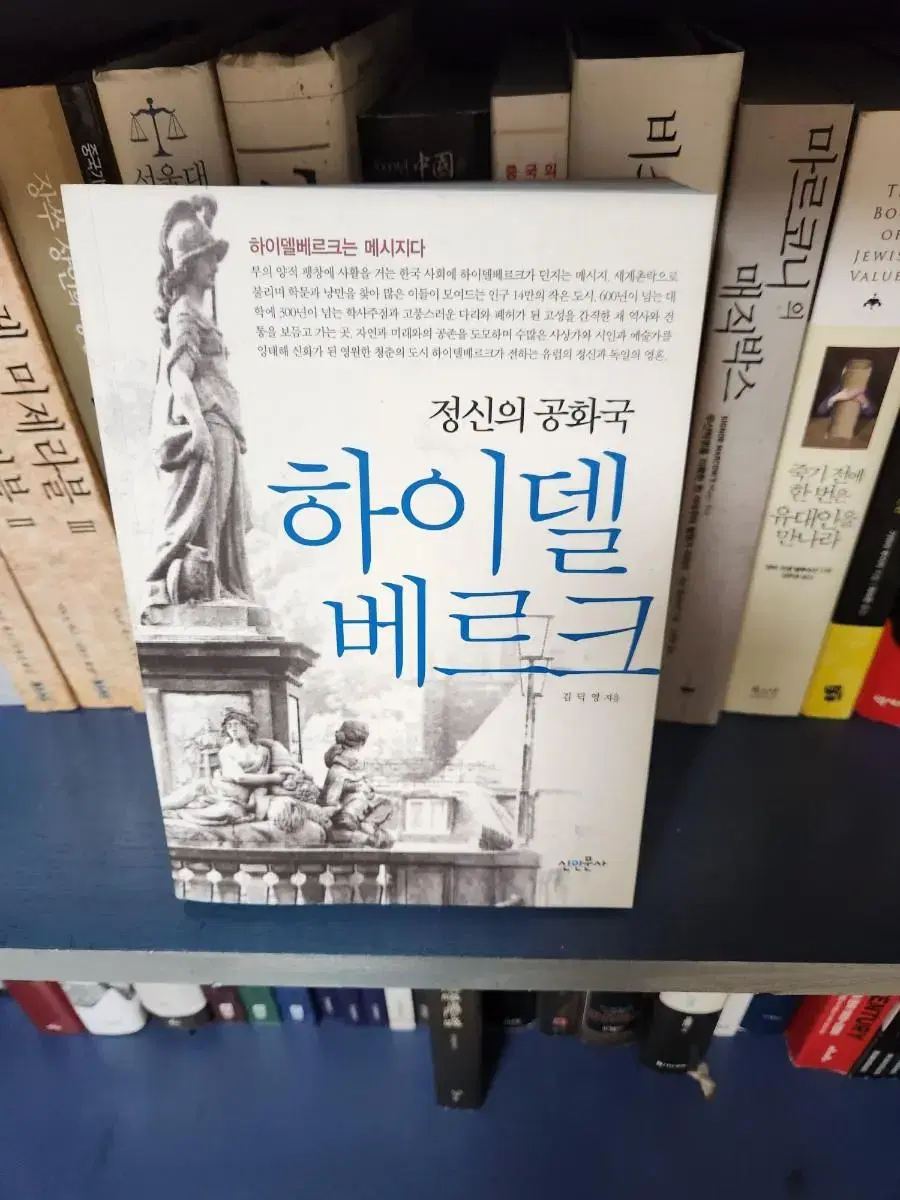 정신의 공화국 하이델 베르크