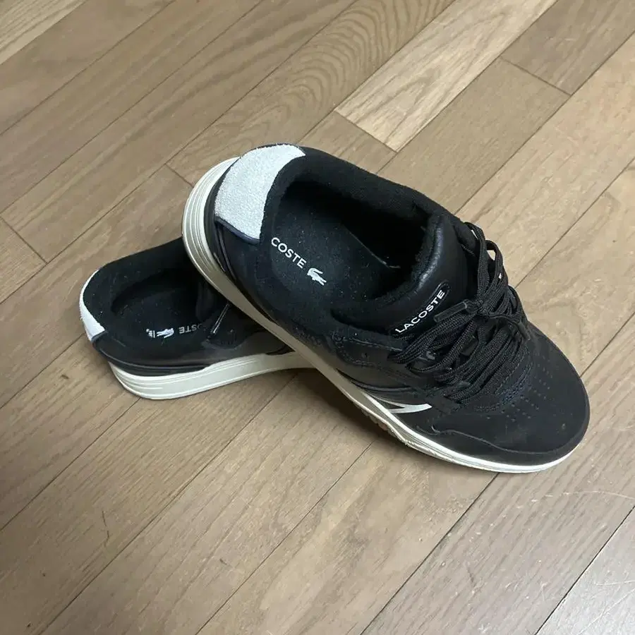 LACOSTE 260 (5만원 가격내림)