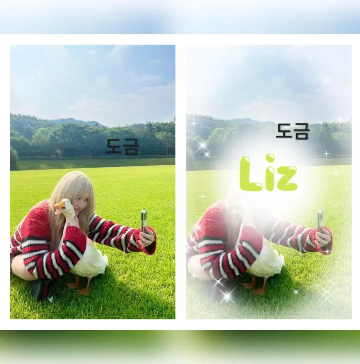 ive liz unofficial goods doan a. photomatic liz unofficial goodslanbak commissionsunsealed albums