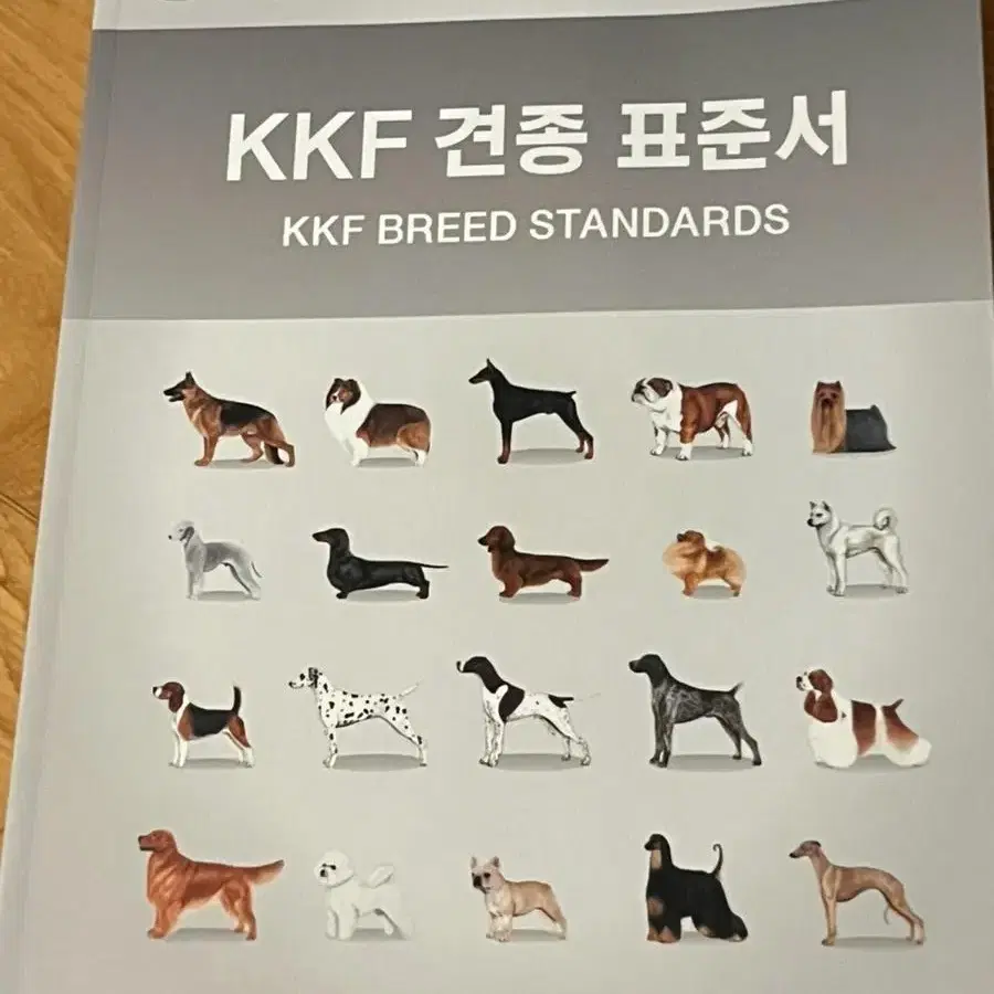 kkf 견종 표준서