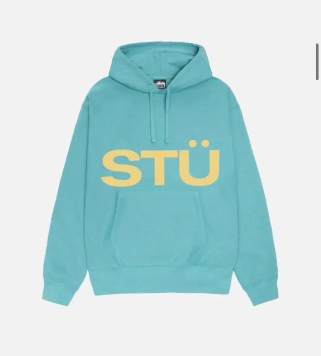 스투시 stussy all caps hoodie 후드