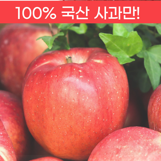 국내산 사과 자연발효 식초분말 250g