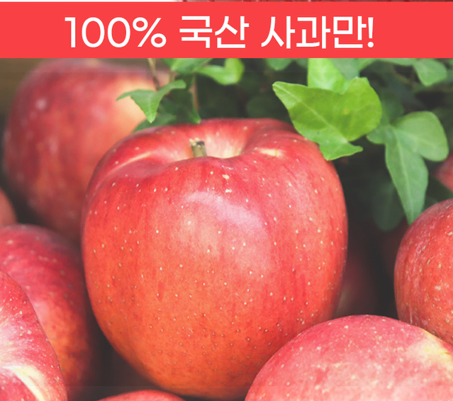 국내산 사과 자연발효 식초분말 250g