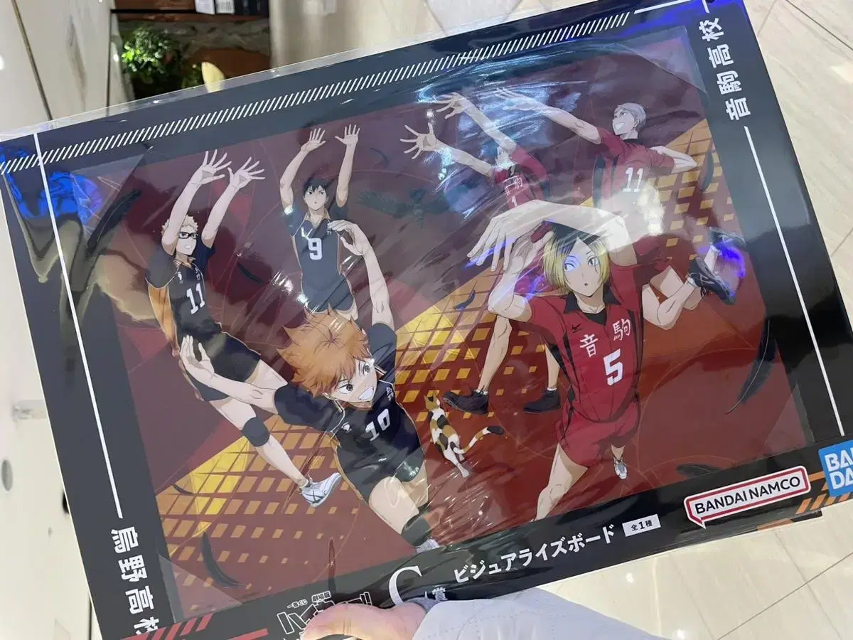 Haikyuu Garbage Dump's Final Battle Kuji Ichibankuji First Lottery C Prize Art Poster for Sale