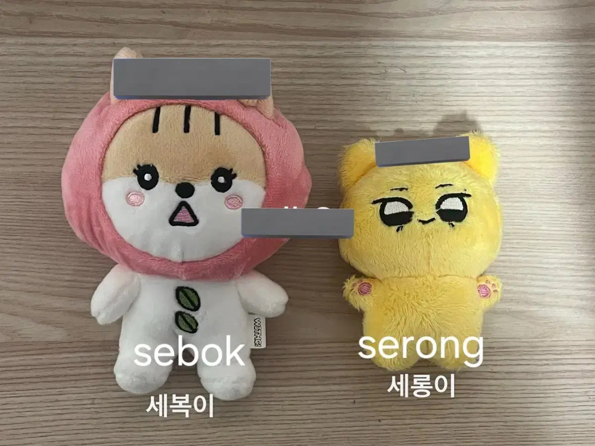 스테이씨 세은 인형 세복이 세롱이 양도