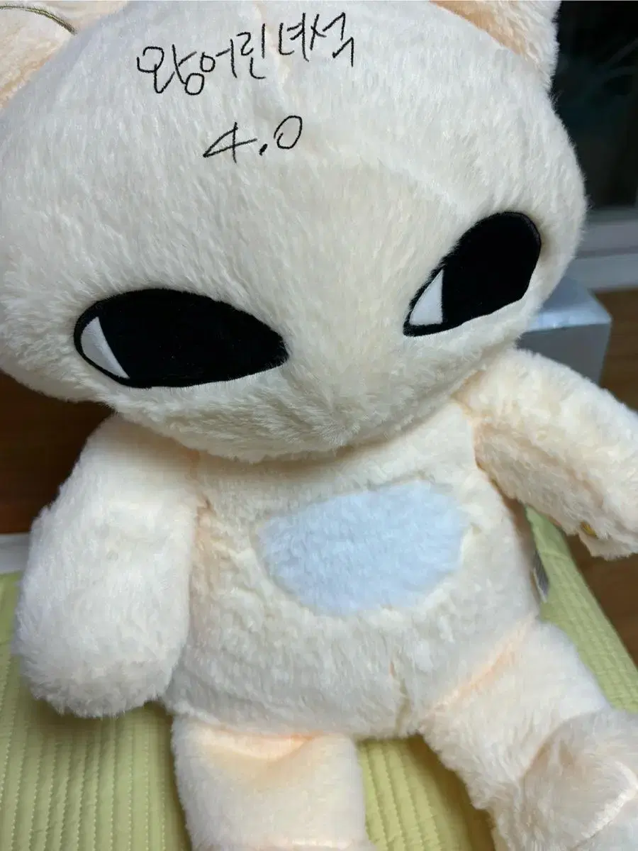 skz doll 왕어린녀석 i.n 정인