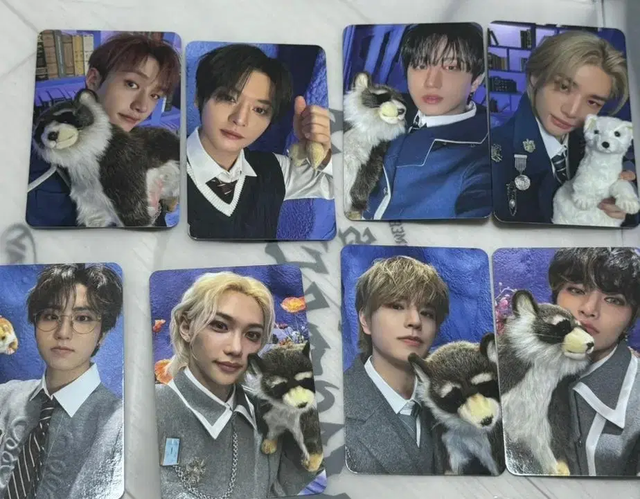 Skz Magic School fanmeeting Makkon Stay Zone Photocard