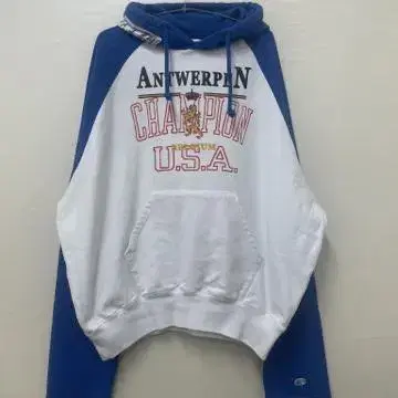 [L]Vetements Champion Entrope Hoodie