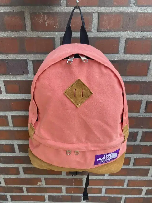 The north face 백팩