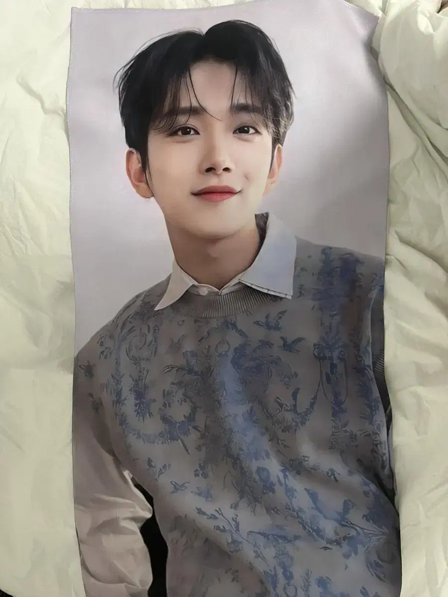 Seventeen Shua wonwoo slogan sells