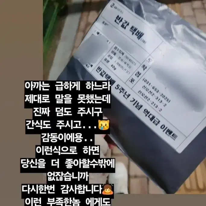 번개톡 후기 모음