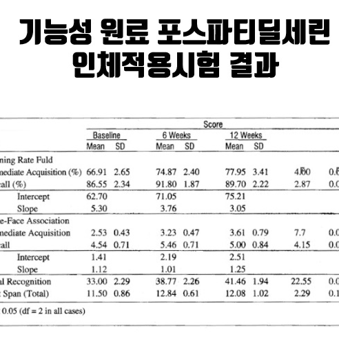 뉴트리랩스 브레인 포스 맥스 1,200mg x 60캡슐x2