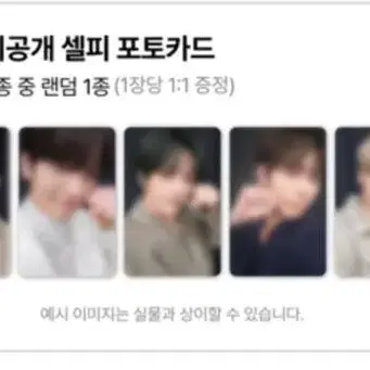 투바투 txt 투모로우 데자뷰 디어마이뮤즈 디마뮤 분철 포카 세트 양도