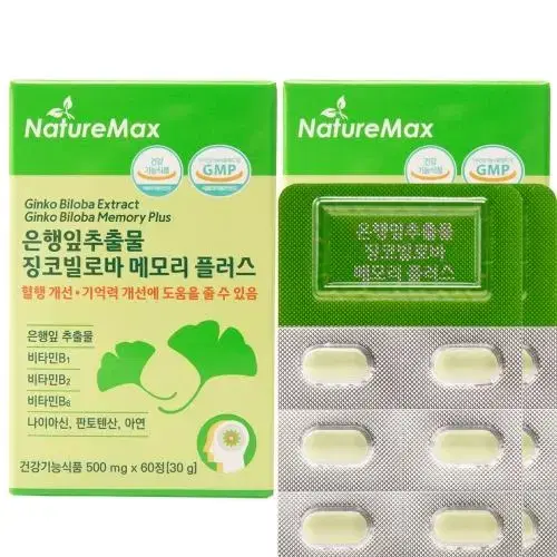 네이처맥스 은행잎추출물 징코빌로바 메모리 플러스 60정x2BOX