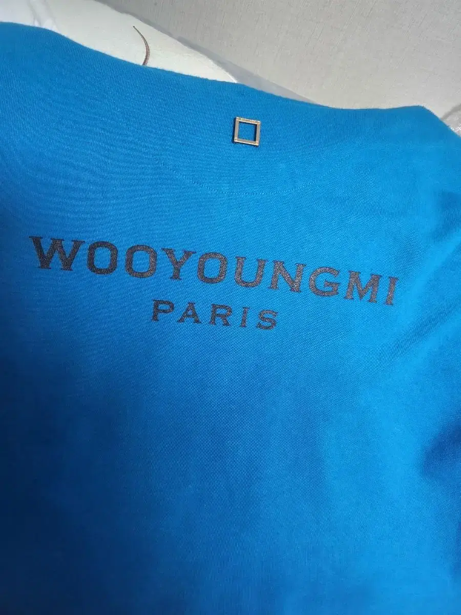 Wooyoung Woo Youngmi Back Logo Hoodie 52 (110)