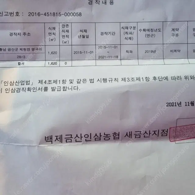 홍삼액 100% 집에서 농사진 그대로!!한박스 50포!!무료배송!!!