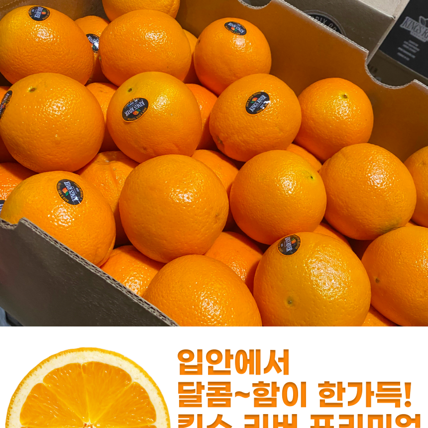 고당도 프리미엄 블랙라벨 오렌지 3kg 17kg