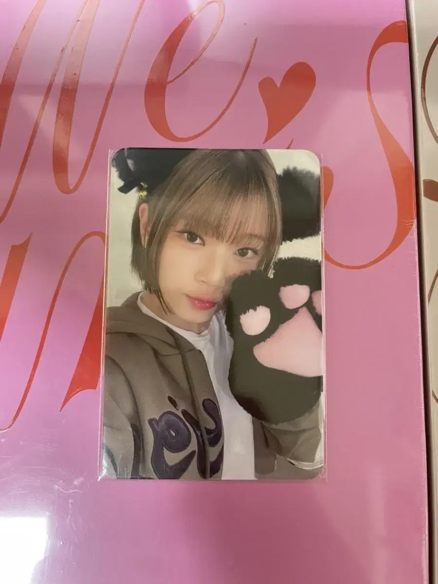 Eunice with muu ld kotoko cat unreleased photocard