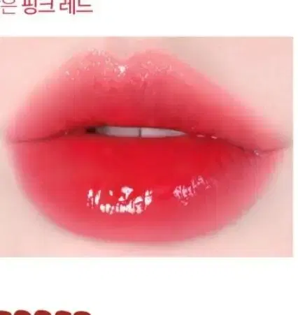 블랙루즈 글로우 뽀끼 틴트 땡초핑크